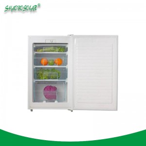 80 L/100 L/200 L Good Quality DC Upright Freezer