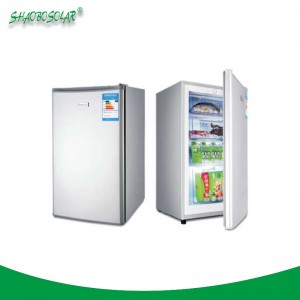 80 L/100 L/200 L Good Quality DC Upright Freezer