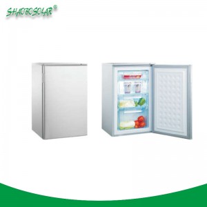 80 L/100 L/200 L Good Quality DC Upright Freezer