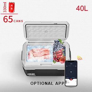 AXR40 camping  portable refrigerator