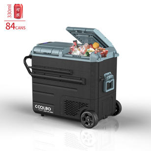 WEG65 Refrigerator With  Battery